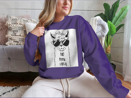 Sudadera con Linda cara de llama con diseño de gafas de sol